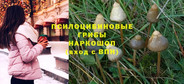 гашиш Касимов