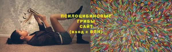 гашиш Касимов
