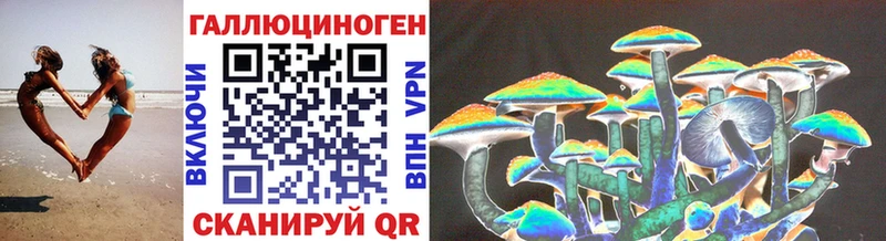 Купить закладки  Мосальск  Псилоцибиновые грибы MAGIC MUSHROOMS 
